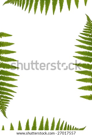 Green fern leaf border over white background.