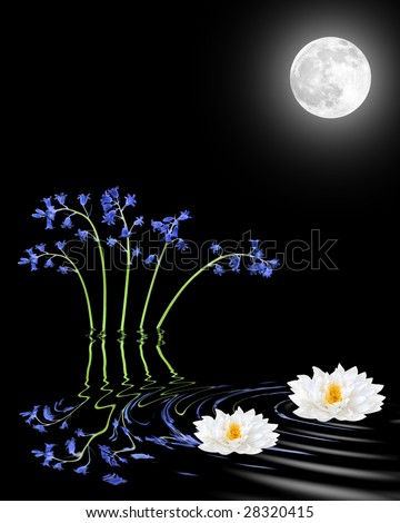 Bluebell and white lily flower abstract with reflection in rippled water and glowing full moon on the spring equinox, over black background.