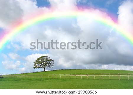 Rural landscape in autumn with an oak tree  and a field with a wooden fence, set against a blue sky with cumulus storm clouds and a rainbow.