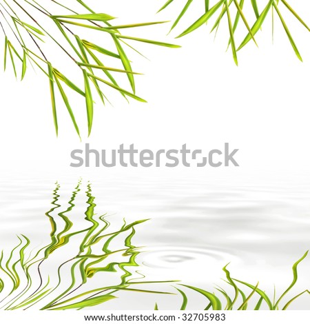 Bamboo leaf grass with reflection in rippled grey water, over white background.