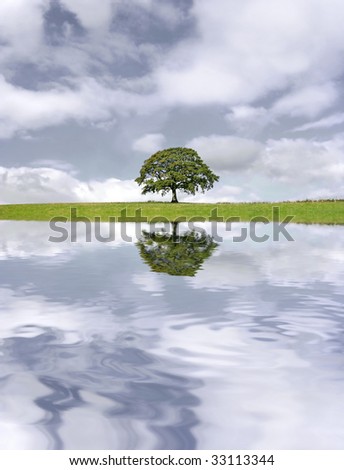 Oak tree in leaf in summer against a stormy sky with reflection in  rippled water.