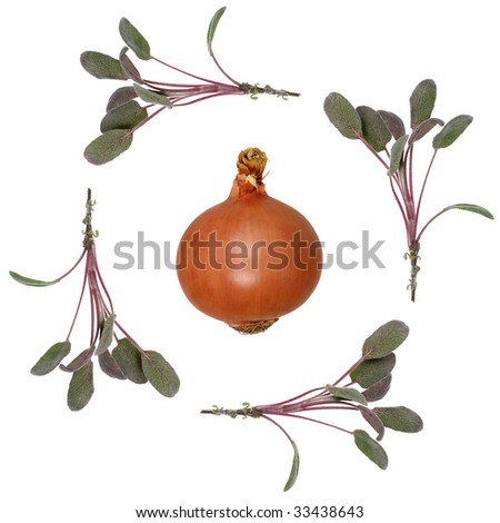 Sage herb leaf sprigs forming an abstract border with a spanish onion in the center, over white background.