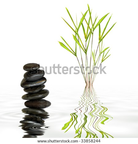Bamboo leaf grass and spa stones in perfect balance with reflection in rippled grey water, over white background.