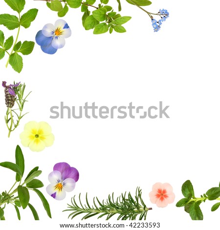 Abstract spring flower border with herb leaf sprigs, over white background.