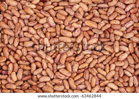 Pinto bean pulses forming a textured  background.
