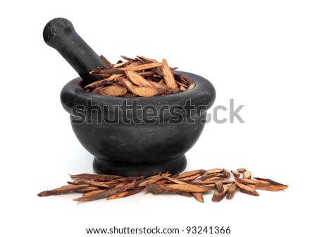 Fleece flower stem used in traditional chinese herbal medicine in a black marble mortar with pestle isolated over white background. Ye jaio teng. Caulis polyoni multiflori.