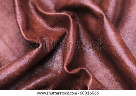 High-resolution texture of folds, vivid brown skin