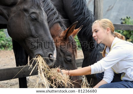 girl feeding horses in the farm in summer day