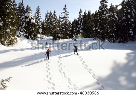 Snow shoe hikers cross the snow mountain in BC, Canada.