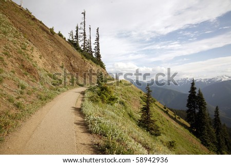 Summer hiking trail in the alpine mountain.