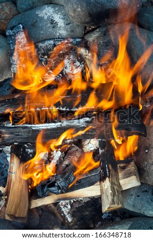 flames of a bonfire