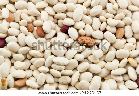 white beans close up background, haricot