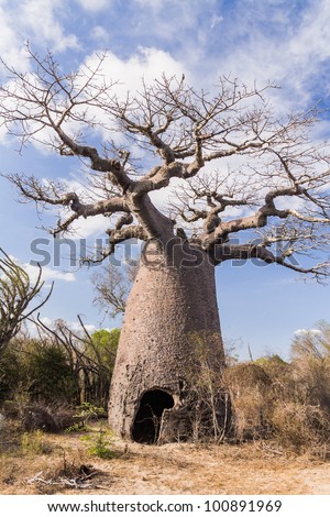 Andavadoaka Madagascar