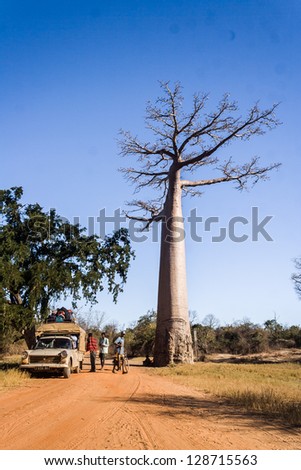 MORONDAVA, MADAGASCAR, JUL 3 : Unidentified malagasy people traveling in the bush taxi (taxi brousse) stopped beside the large baobab on Jul 3, 2006, near Morondava  in western Madagascar
