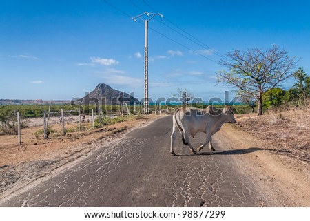 The road of Ramena, near Diego Suarez (Antsiranana), north of Madagascar