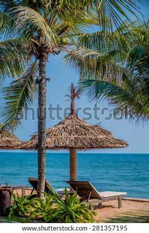 Nice view of the sea with palm trees