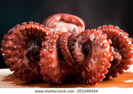 cooked octopus black background