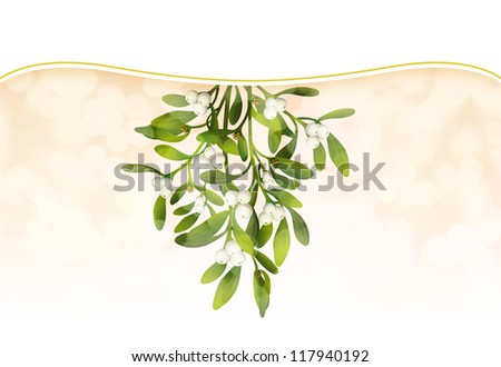 Hunging Mistletoe with soft lighting and white band