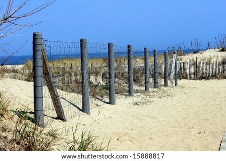 Fence Posts on a Beach