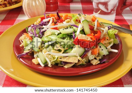 Chinese salad with red peppers, crispy won ton strips, lettuce, carrots and more