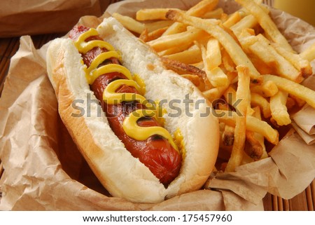 A hot dog with french fries closeup served in a basket