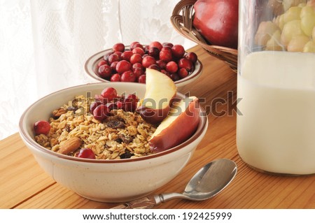 Organic granola with cranberries, apple slices, raisins, almonds and walnuts