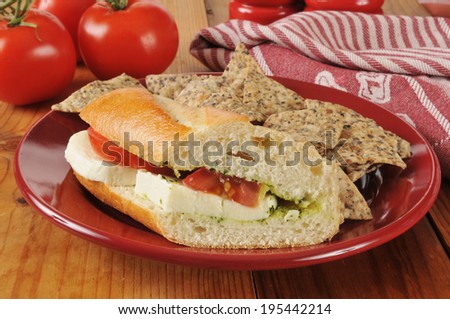 A caprese sandwich with rice and bean tortilla chips