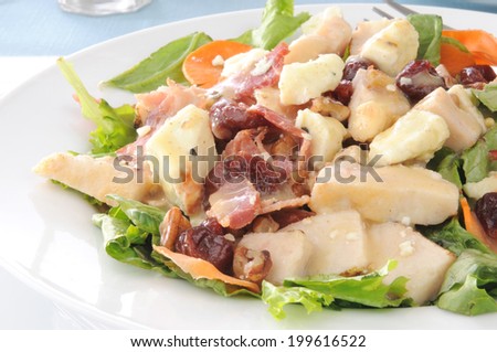 A salad with grilled chicken breast, bacon bits and dried cherries