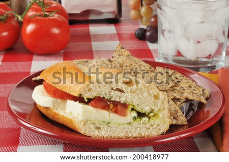 a caprese sandwich with rice and bean tortilla chips