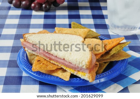 A ham sandwich with veggie tortilla chips on a picnic table