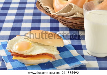 A fried egg sandwich with bacon and cheese on a picnic table