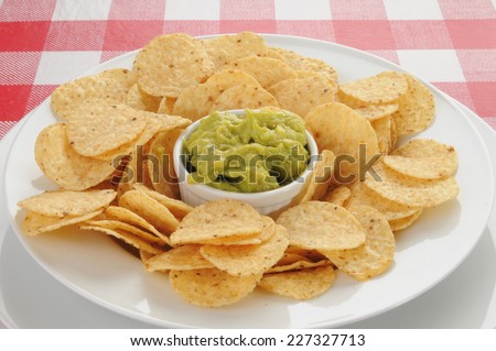 Guacamole with round corn tortilla chips on a picnic table