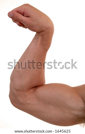 Flexed Bicep