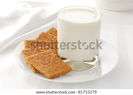 A plate of graham crackers sprinkled with cinnamon and a glass of warm milk