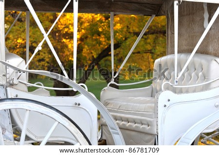 Close up of a horse drawn carriage in the park on an autumn evening
