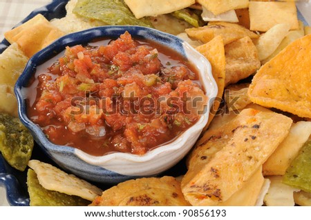 A plate of vegetable fried tortilla chips and salsa