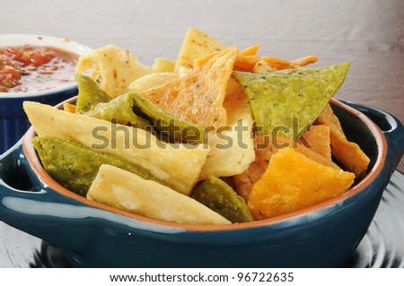 A  bowl of fried tortilla chips and a side of salsa