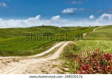 A country road on rolling hill in a rural landscape, Tuscany, Italy