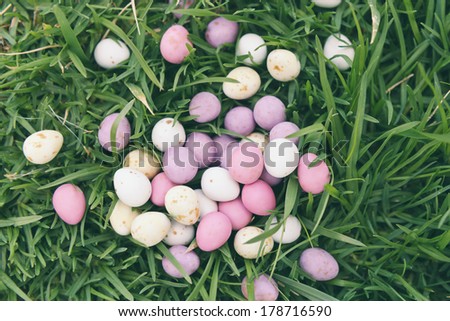 mini eggs scattered in the yard