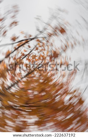 abstract fall leaves swirled, blurry