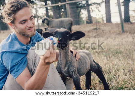 ADELAIDE, AUSTRALIA -  NOV 2014: french wwoofer Pierre on a farm feeding a young lamb. The Australian Government no longer allows voluntary work, such as wwoofing, to count towards a 2nd year visa.