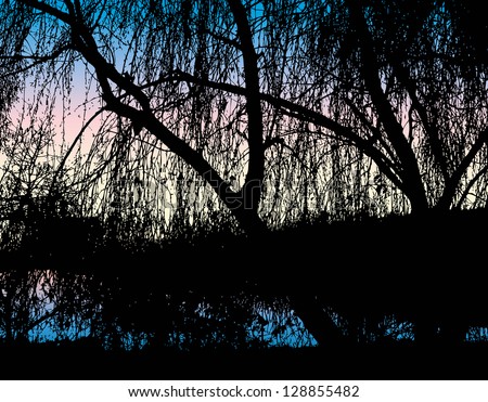 Vector landscape. Silhouette hanging branches of trees growing on the river against the evening sky