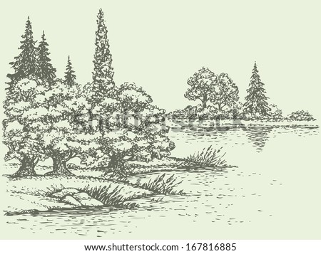 Vector Summer Landscape. Lush Forest Trees On The River Bank
