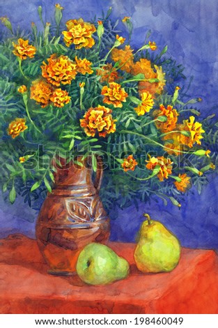 Watercolor still life. Magnificent bouquet of vivid yellow Marigolds in a clay jar on red tablecloth with ripe green pears on dark blue background