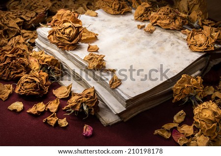 Delicate romantic backdrop in potpourri style. Dry orange roses scattered on  obsolete open yellowed and weathered notebook, on dark burgundy velvet. Close-up view with space for text on greeting card