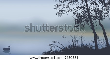 Vector background. Autumn landscape with trees and reeds near the misty lake with a floating duck