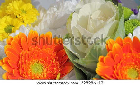 cabbage rose amongst flowers