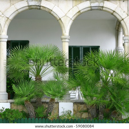 tropical plants in front of stone arches