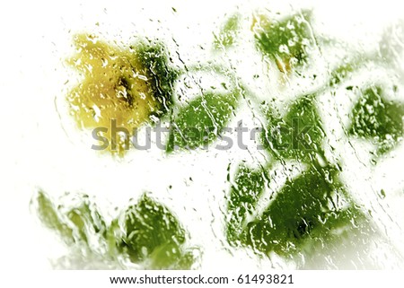 Water drops on window glass on rainy day with sunflowers behind.  Soft focus.