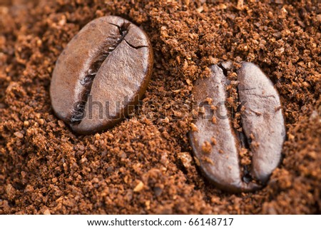 Coffee Beans macro on ground coffee background. Soft focus.